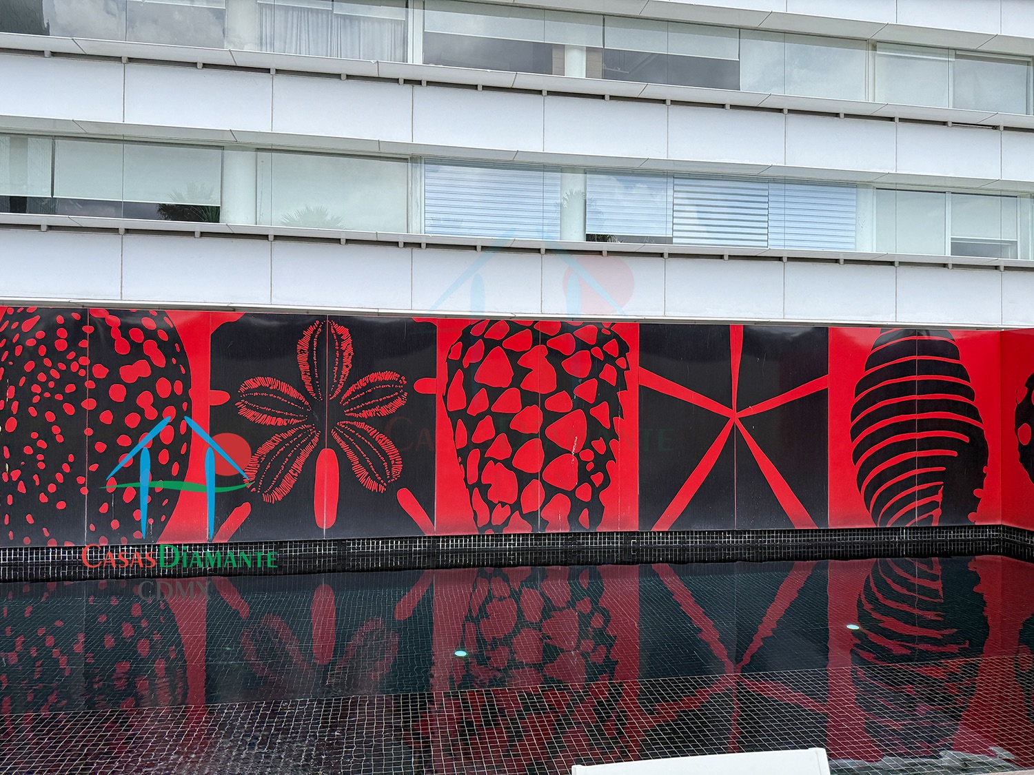 Punta del Parque - Alberca 3 Punta del Parque - Alberca 3